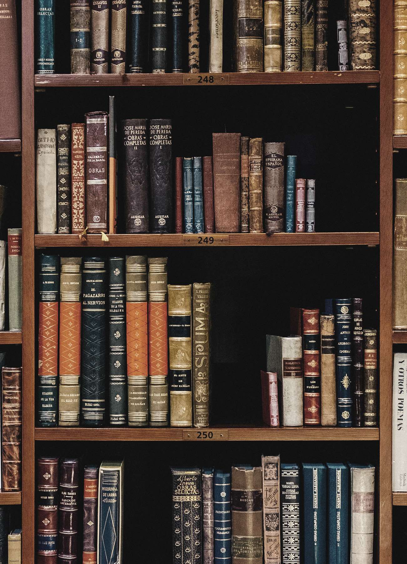 inaki-del-olmo-NIJuEQw0RKg-unsplash